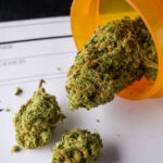Medical Cannabis